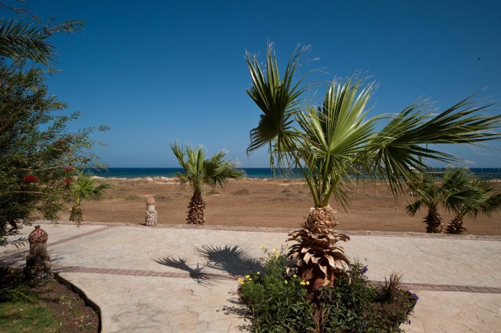 Shams Alam Beach Resort - 39