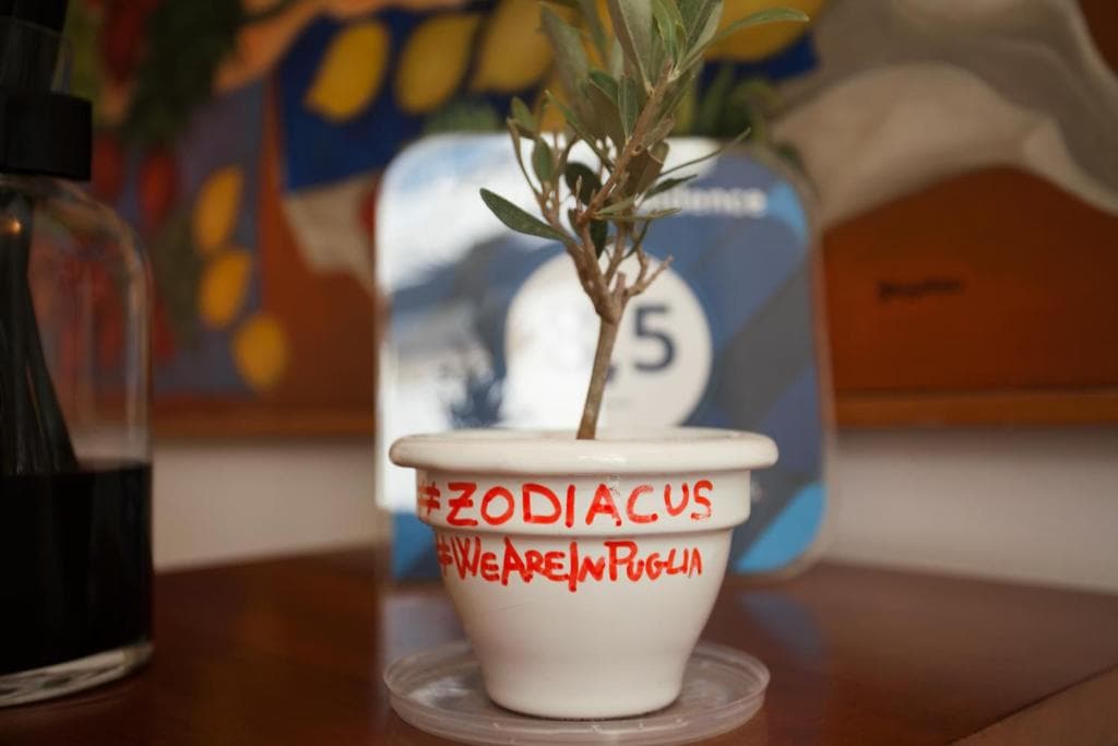 Zodiacus - 9