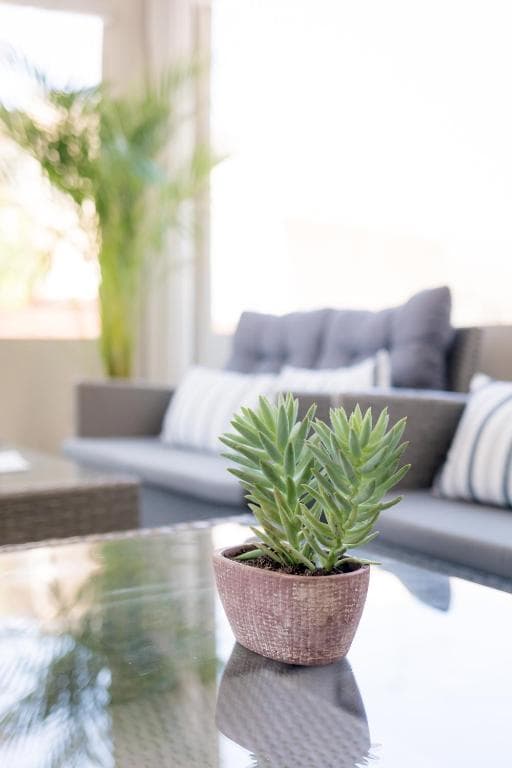 Mikes Kanarium Hotel - 20