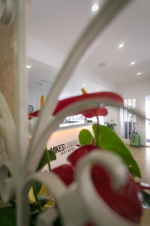 Mikes Kanarium Hotel - 59