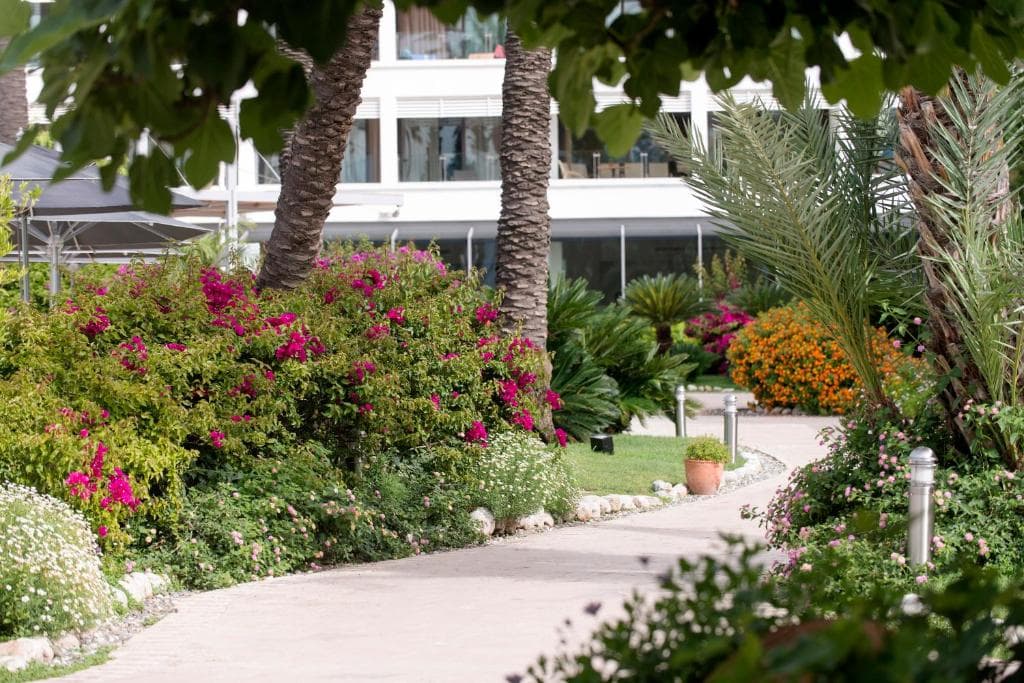 Tui Blue Grand Azur - 45