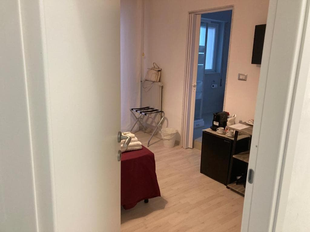 Gatto Bianco Picone 19 - 11