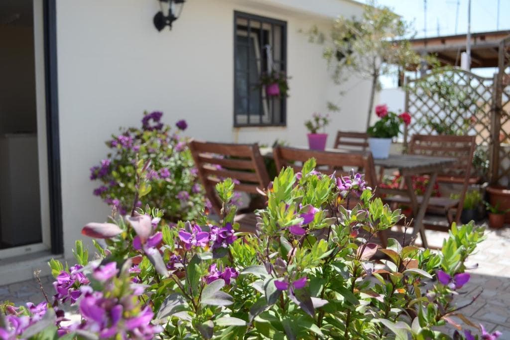 B&B Bella Bari - 24