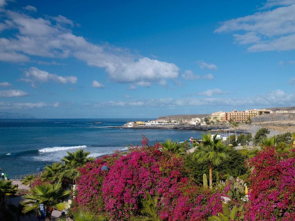 HOVIMA Jardin Caleta - 29