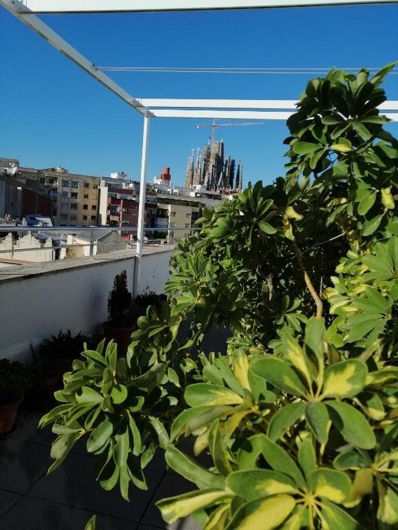 Hotel Best Aranea - 41