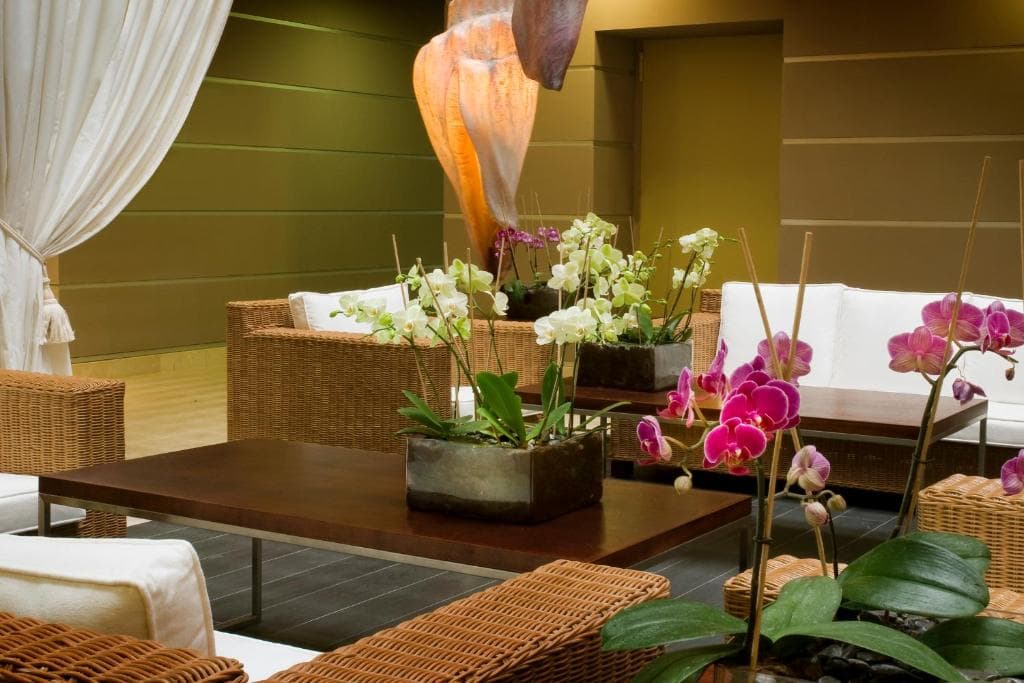 KN Arenas del Mar Beach & Spa Hotel - 10