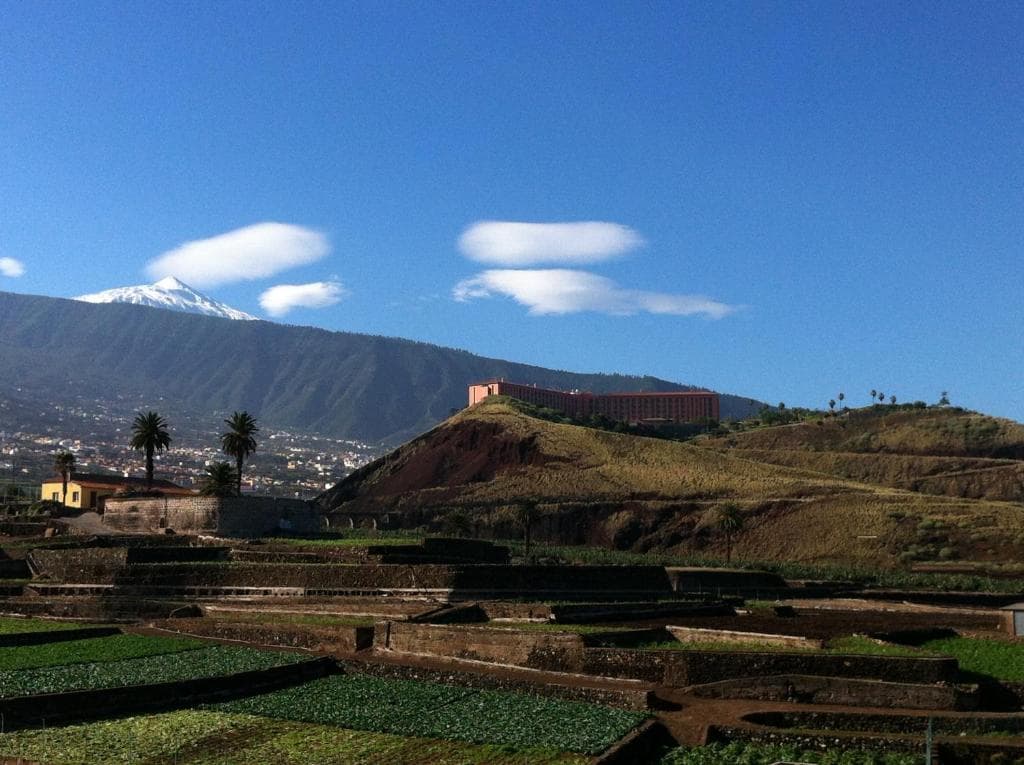 Hotel Las Aguilas Tenerife, Affiliated by Melia - 21