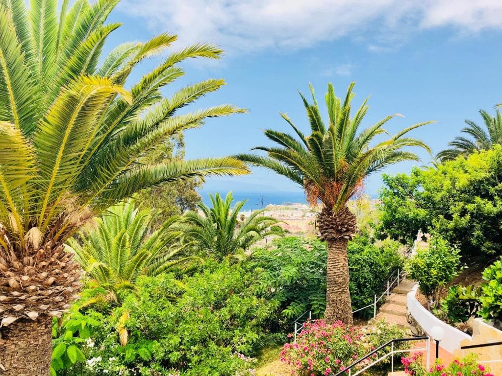 Regency Torviscas Apartments Suites - 39