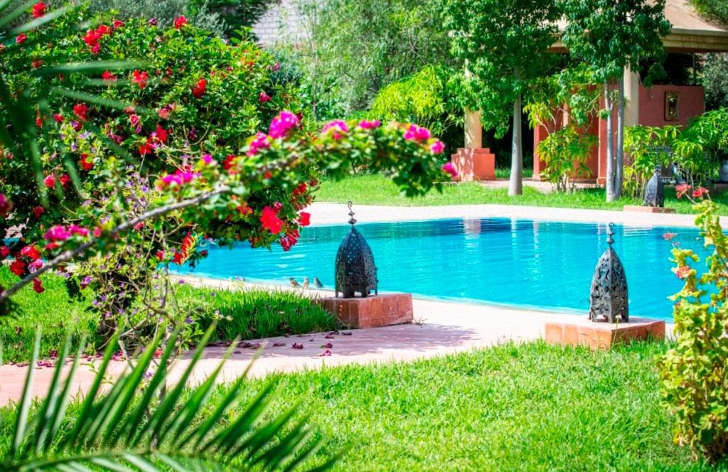 Las Palmeras - 2