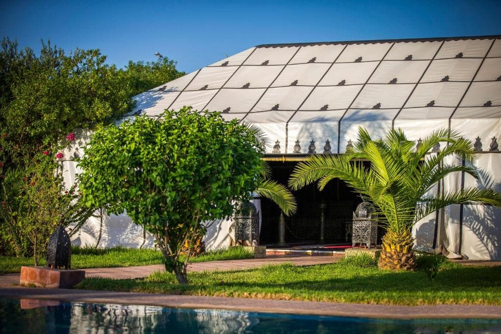 Las Palmeras - 6