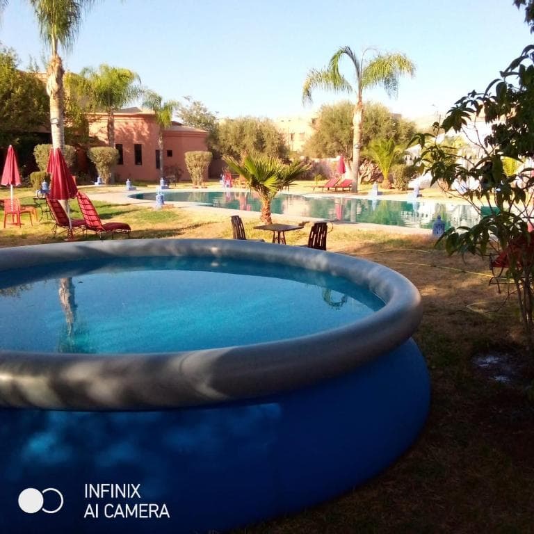 Las Palmeras - 17