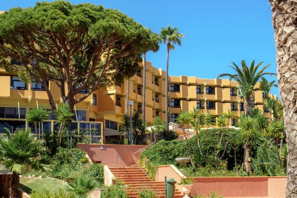 Auramar Beach Resort - 5