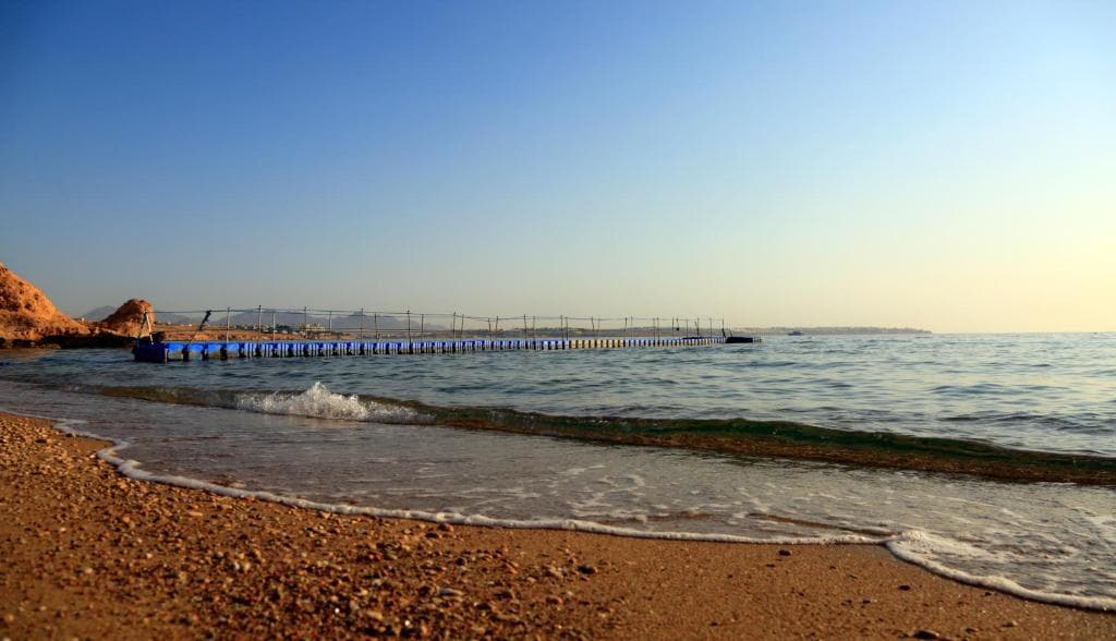 Sharm Club Beach Resort (ex Labranda Tower Bay Resort) - 28