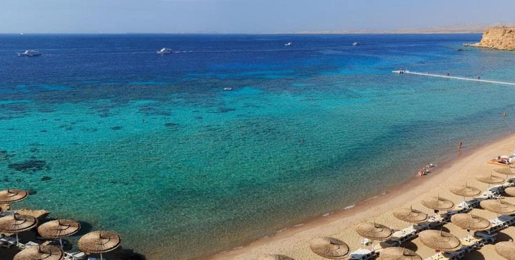 Sentido Reef Oasis Senses Resort - 16
