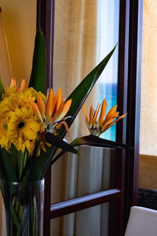 Grande Albergo Delle Rose - 27