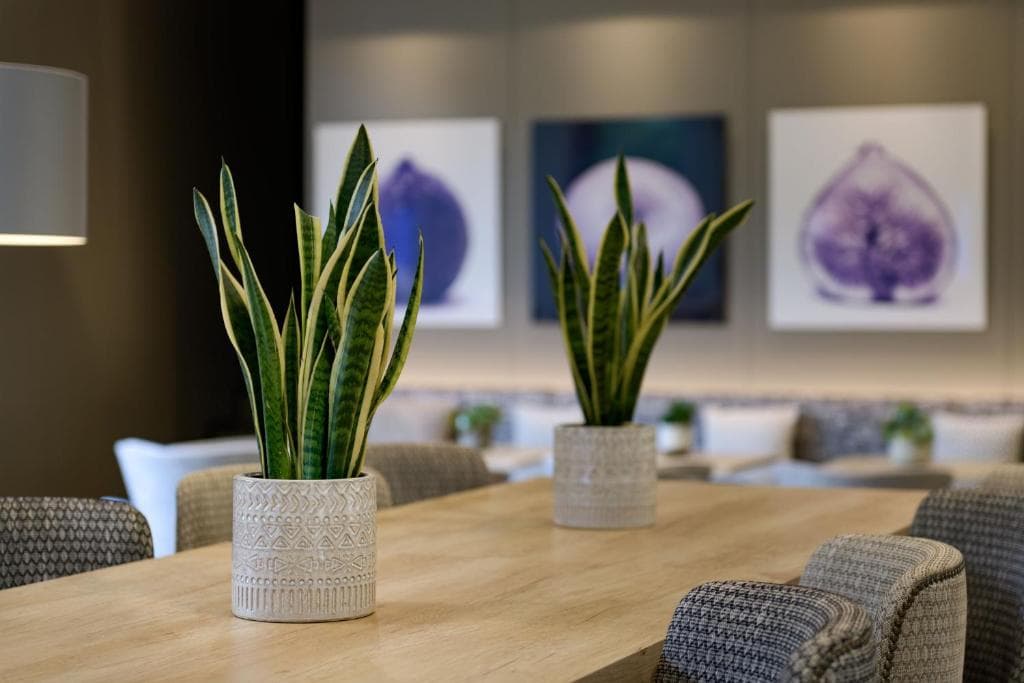 AC Hotel Ciutat de Palma by Marriott - 38