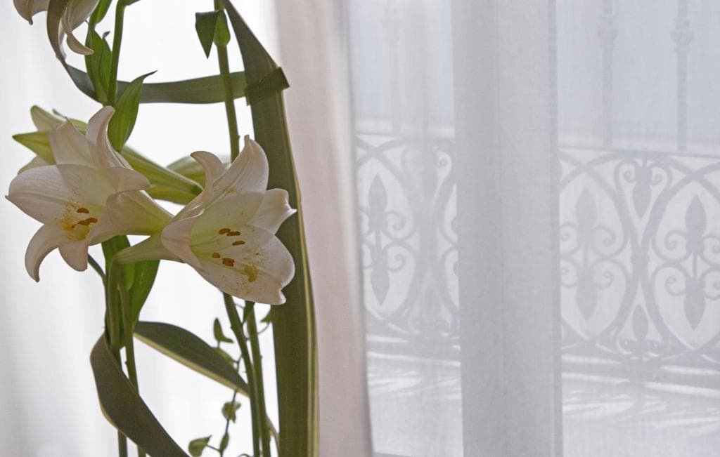 Hotel Hospes Amerigo - 22