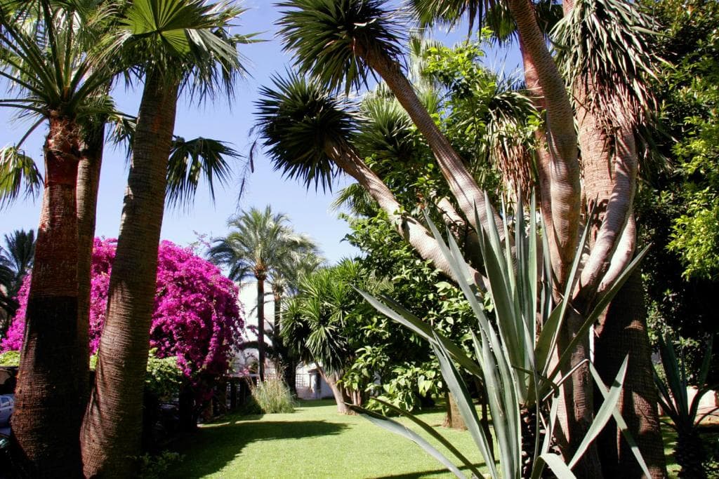 Hotel Apartamentos Bajondillo - 35