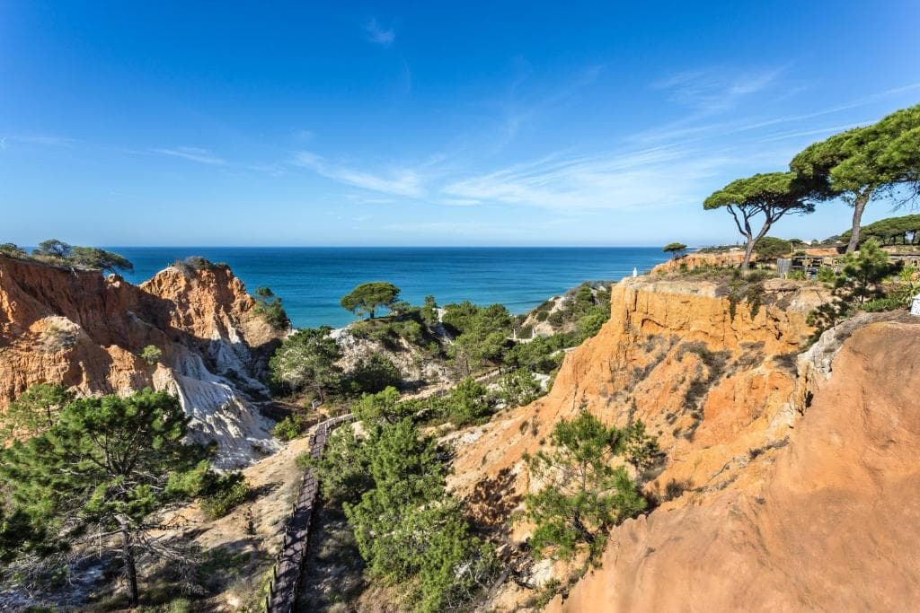 Pine Cliffs Gardens - 7