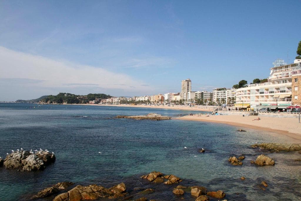 Roger de Flor Seleqtta - 46