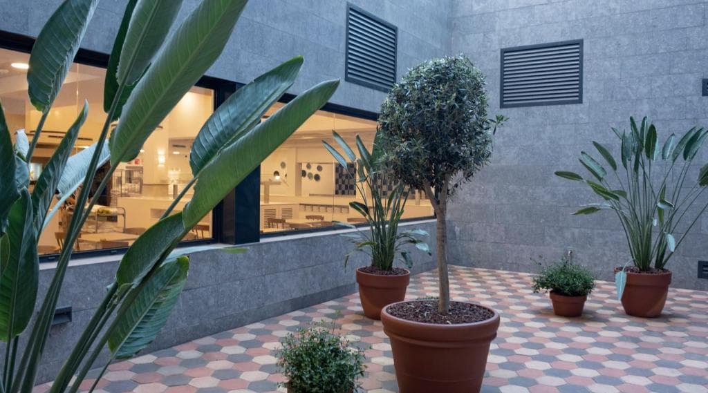 Barcelona - Rosamar Es Blau - Adults Only - 85
