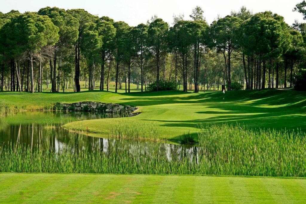 Kempinski The Dome - 46