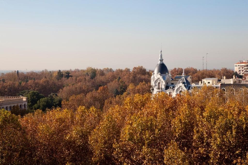 Espahotel Plaza Espana - 34