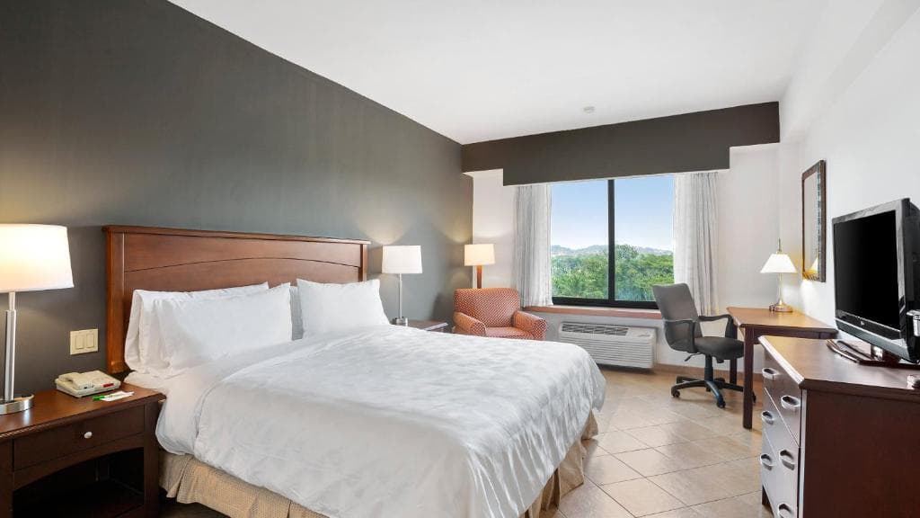 Holiday Inn Panama Canal - 37