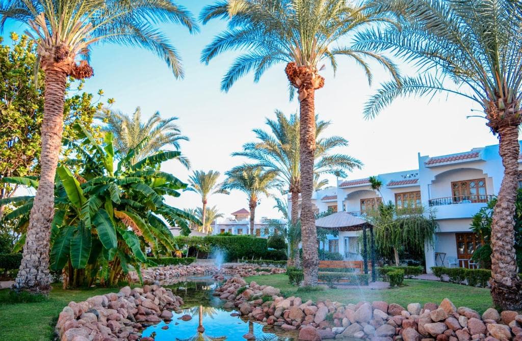 Dive Inn Resort - 9