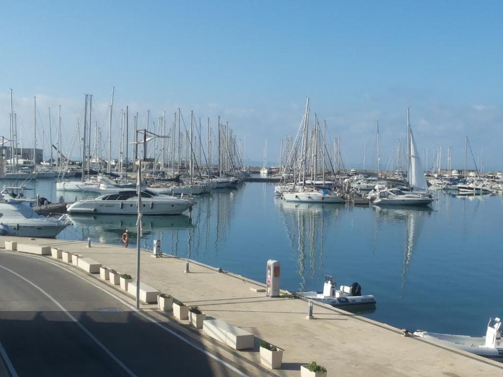 Acacia Marina - 38