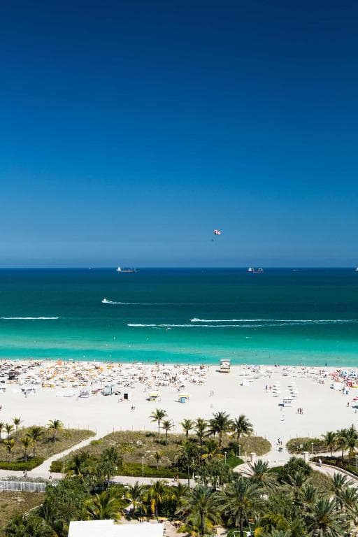Gale South Beach, Curio Collection By Hilton - 10