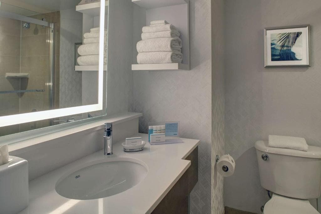 Hampton Inn & Suites Miami Airport South/Blue Lagoon - 18