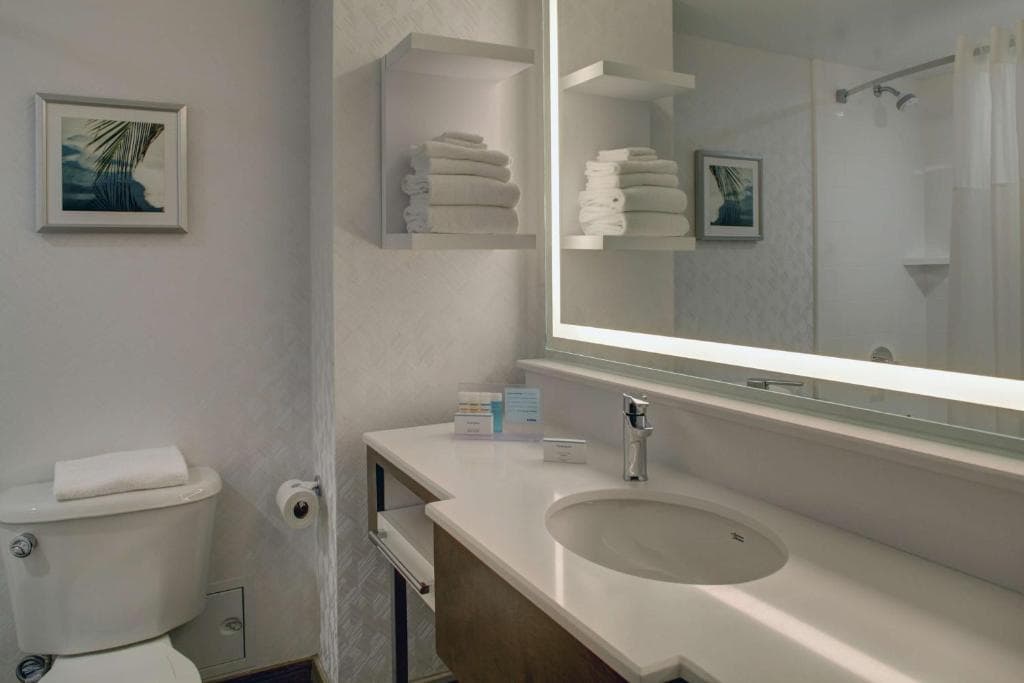 Hampton Inn & Suites Miami Airport South/Blue Lagoon - 25