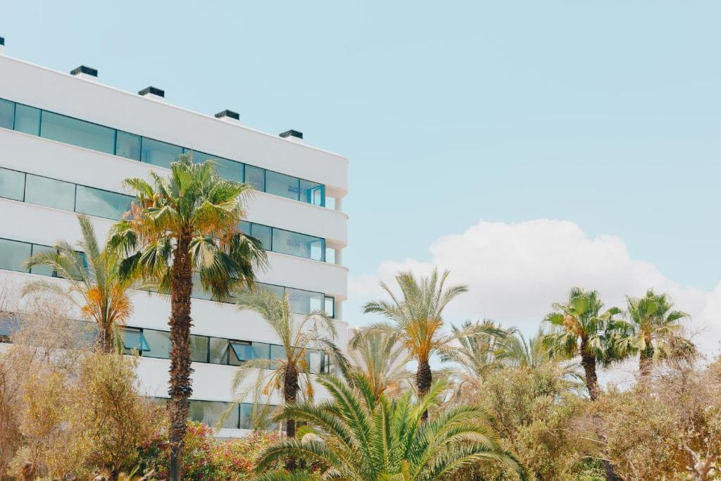 El Hotel Pacha - 2
