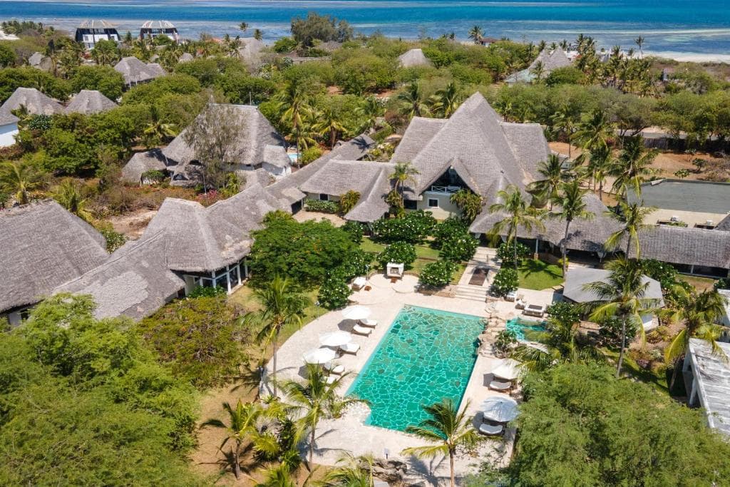 Lion in the Sun - a Billionaire Retreat - 1