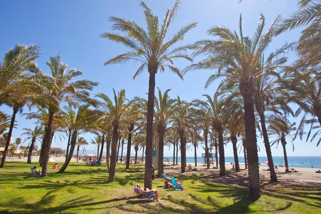 Apartamentos Ecuador Park - 17