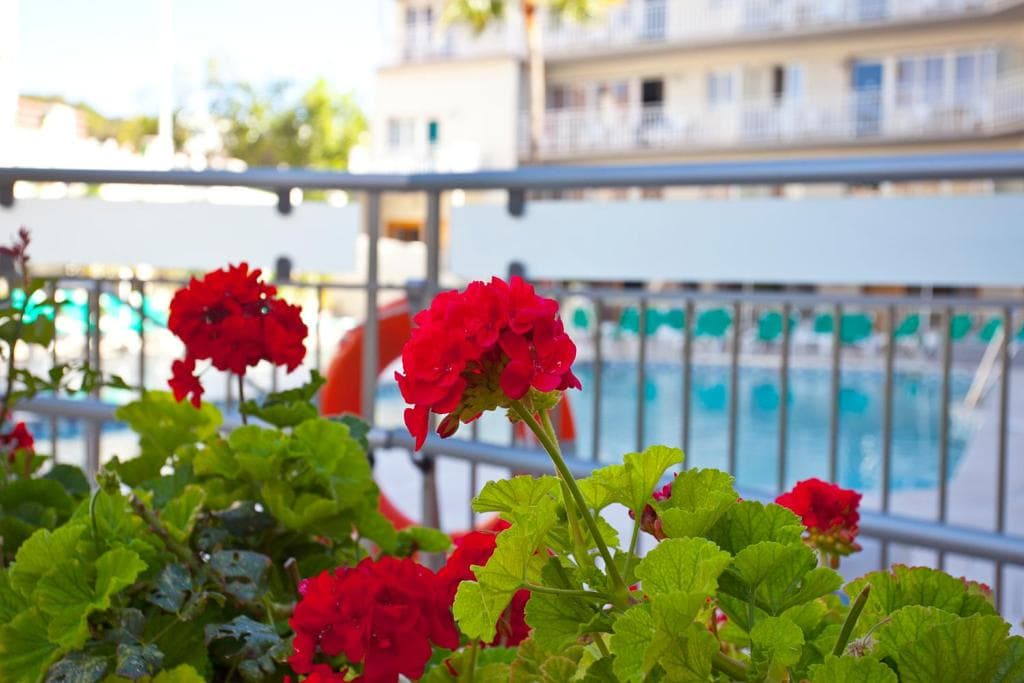 Apartamentos Ecuador Park - 35