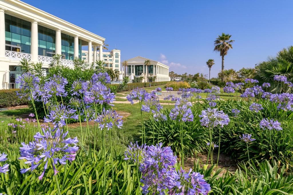 Las Arenas Balneario Resort - 77
