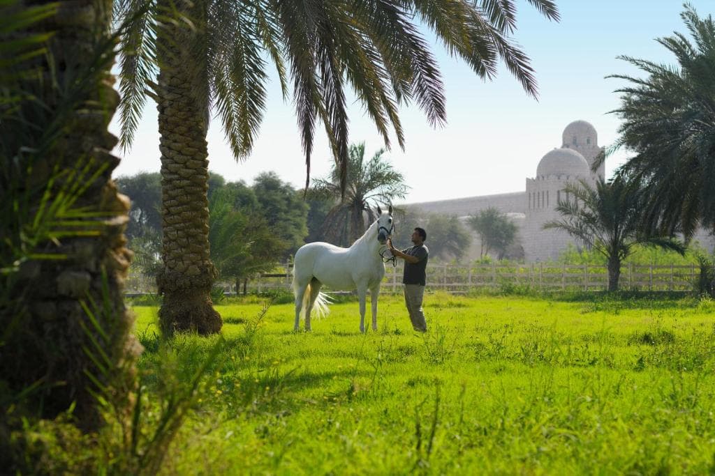 Al Samriya Hotel, Doha, Autograph Collection - 7