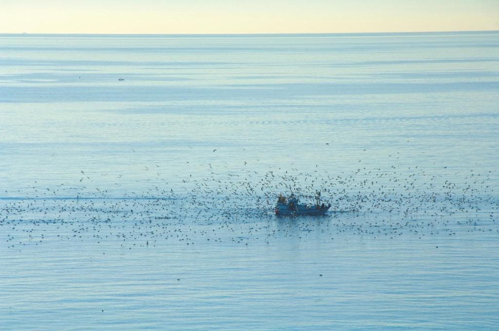 Ona Princesa Playa - 45