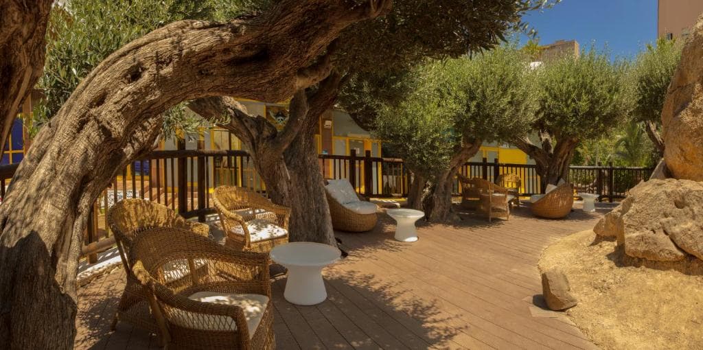 Sejur Costa Blanca - Hotel Magic Tropical Splash - 24