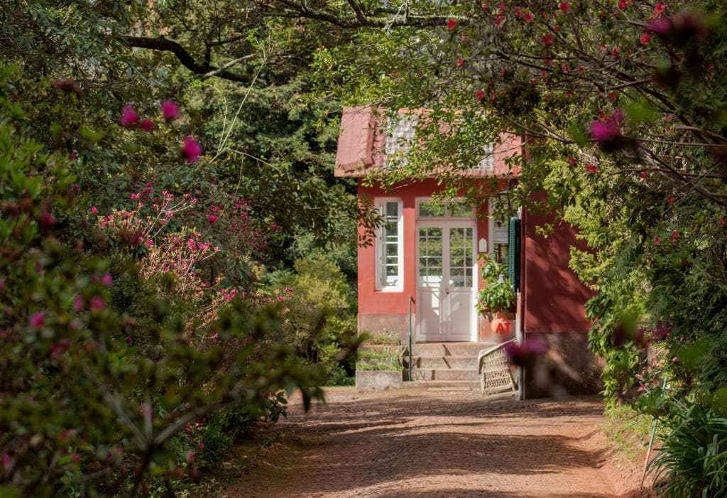 Quinta Santo Antonio da Serra - 12