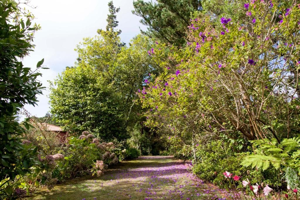 Quinta Santo Antonio da Serra - 18