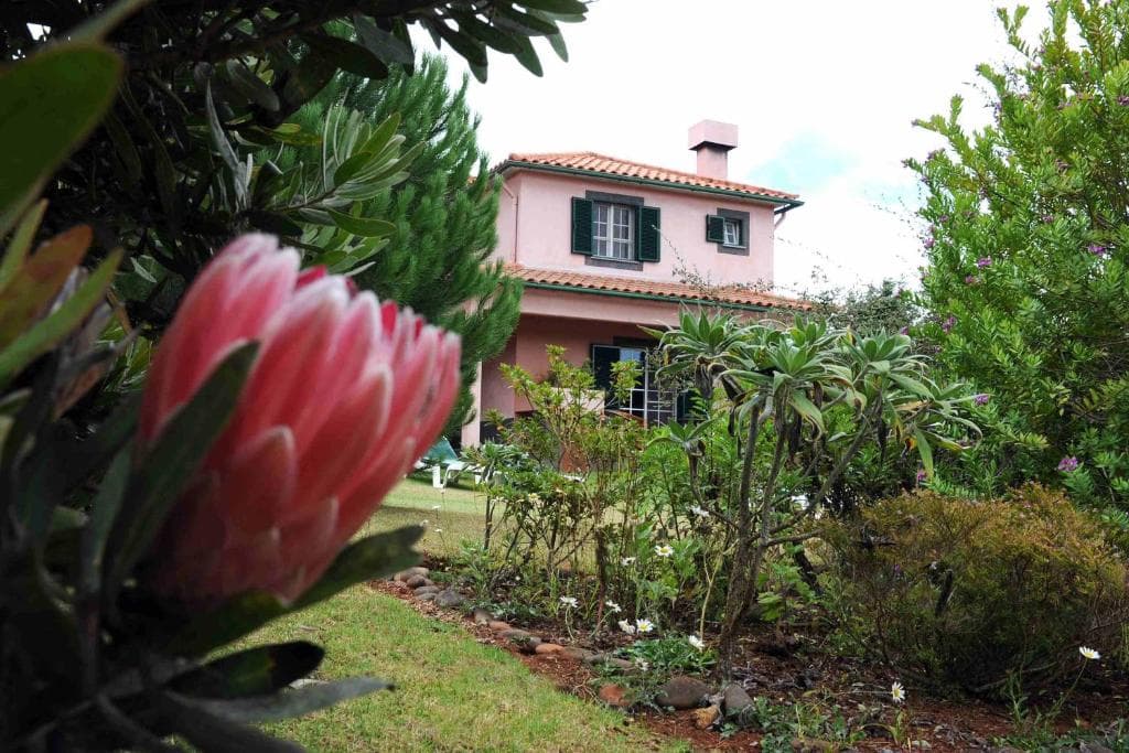 Quinta Santo Antonio da Serra - 42