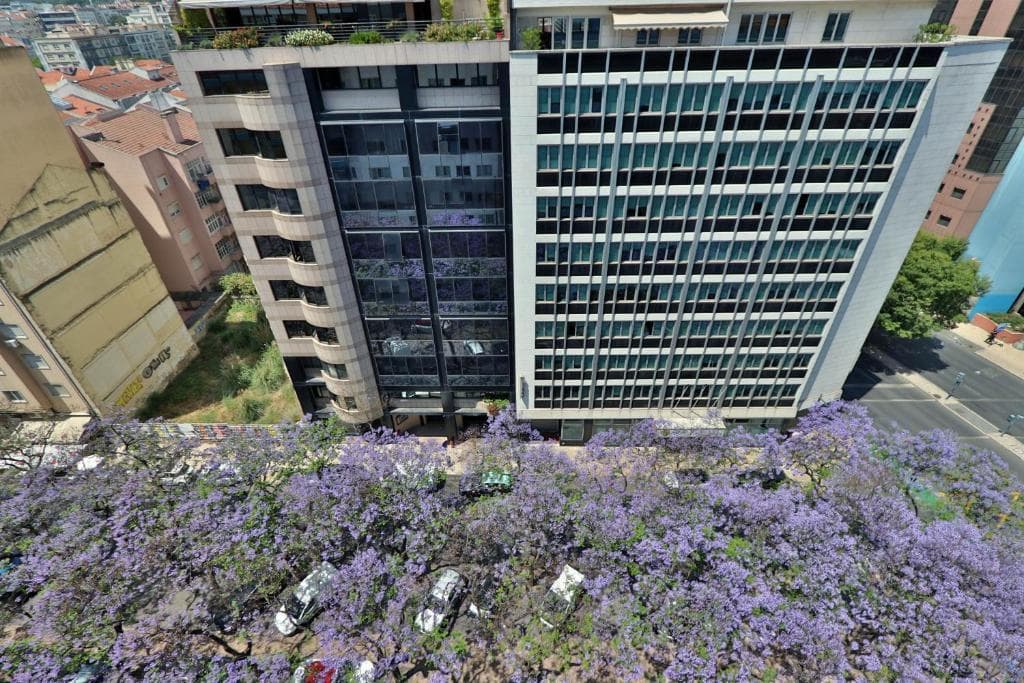 TURIM Iberia Hotel - 29