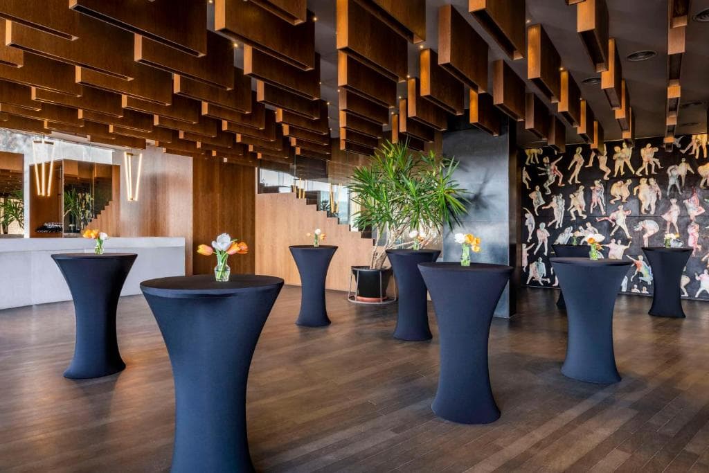 Radisson Blu Iveria - 12