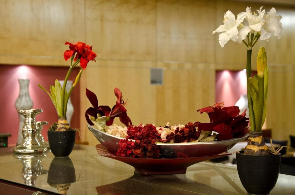 VIP Executive Entrecampos - Hotel & Conference - 25