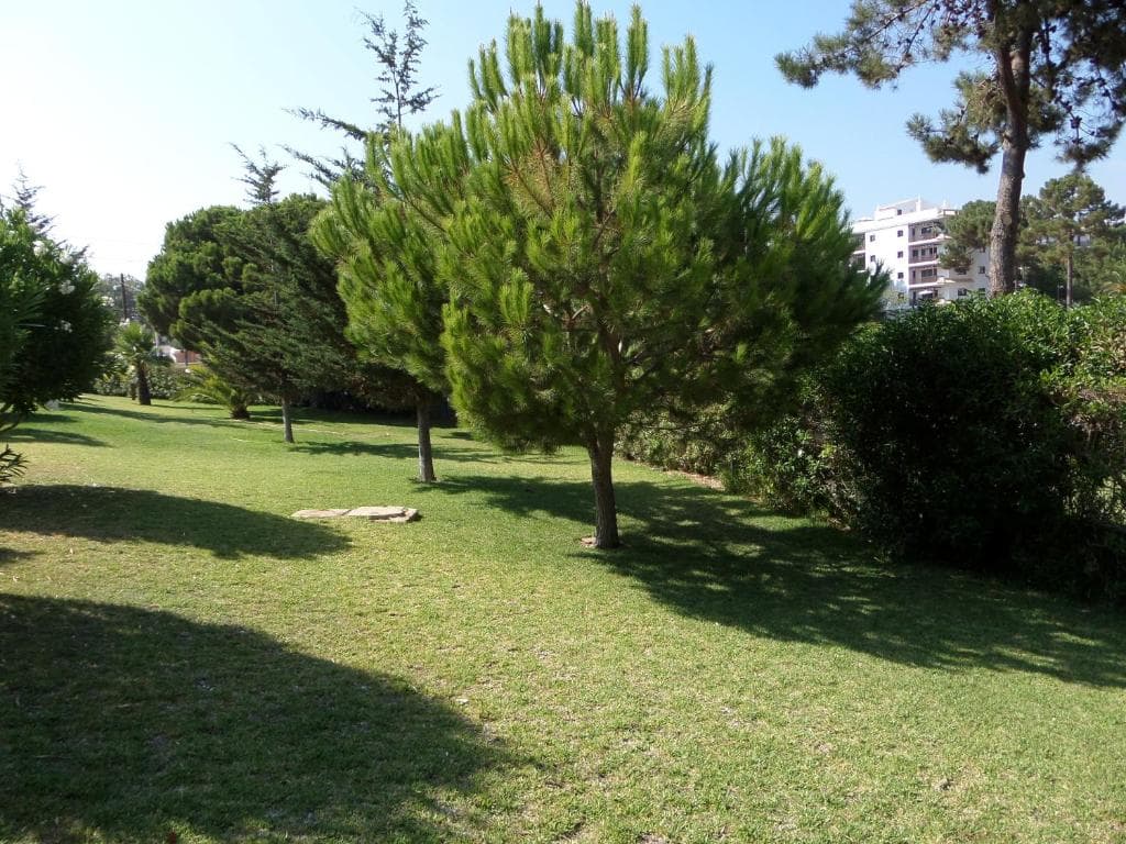 Aldeia da Falesia - 15