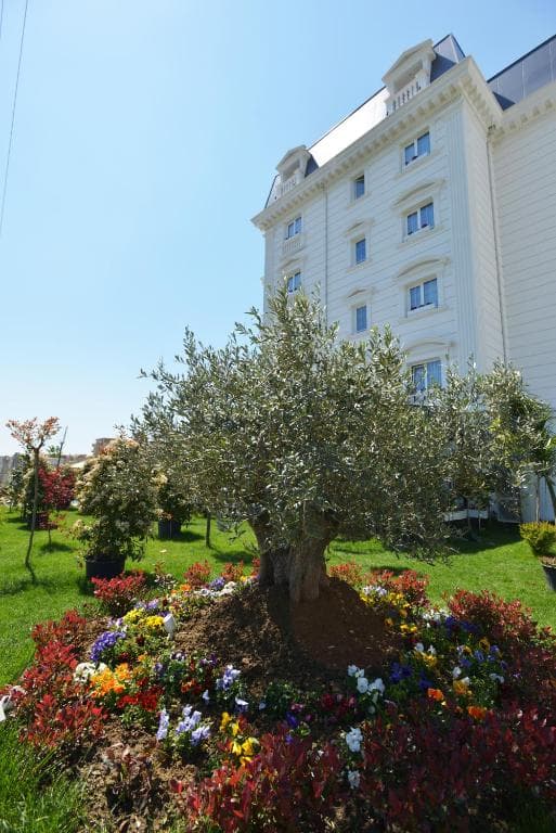 Hotels & Resorts Flower - 38