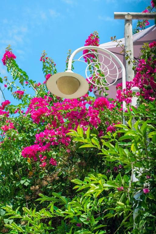 Bougainville Bay Hotel - 18